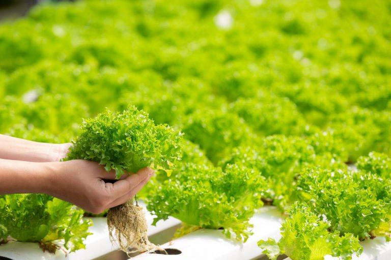 Skills for the green transition: RELIEF’s training pathways across Europe